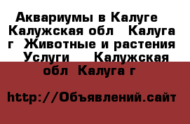 Аквариумы в Калуге - Калужская обл., Калуга г. Животные и растения » Услуги   . Калужская обл.,Калуга г.